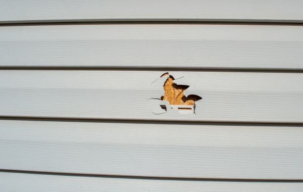 Siding Hole Repair in Lake Zurich