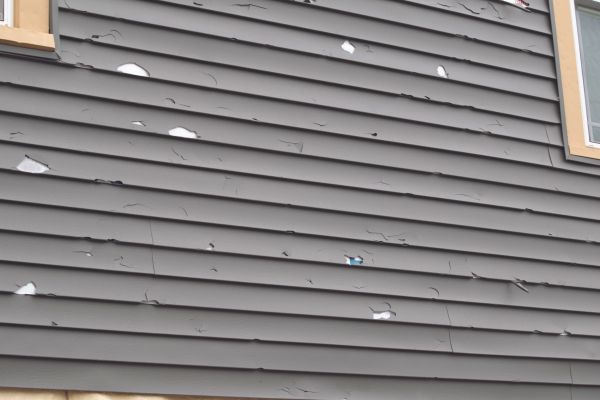 Damaged Siding Replacement in Lake Zurich